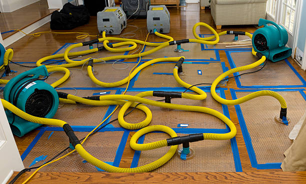 Professional Water Extraction technician working in South Hamilton, MA